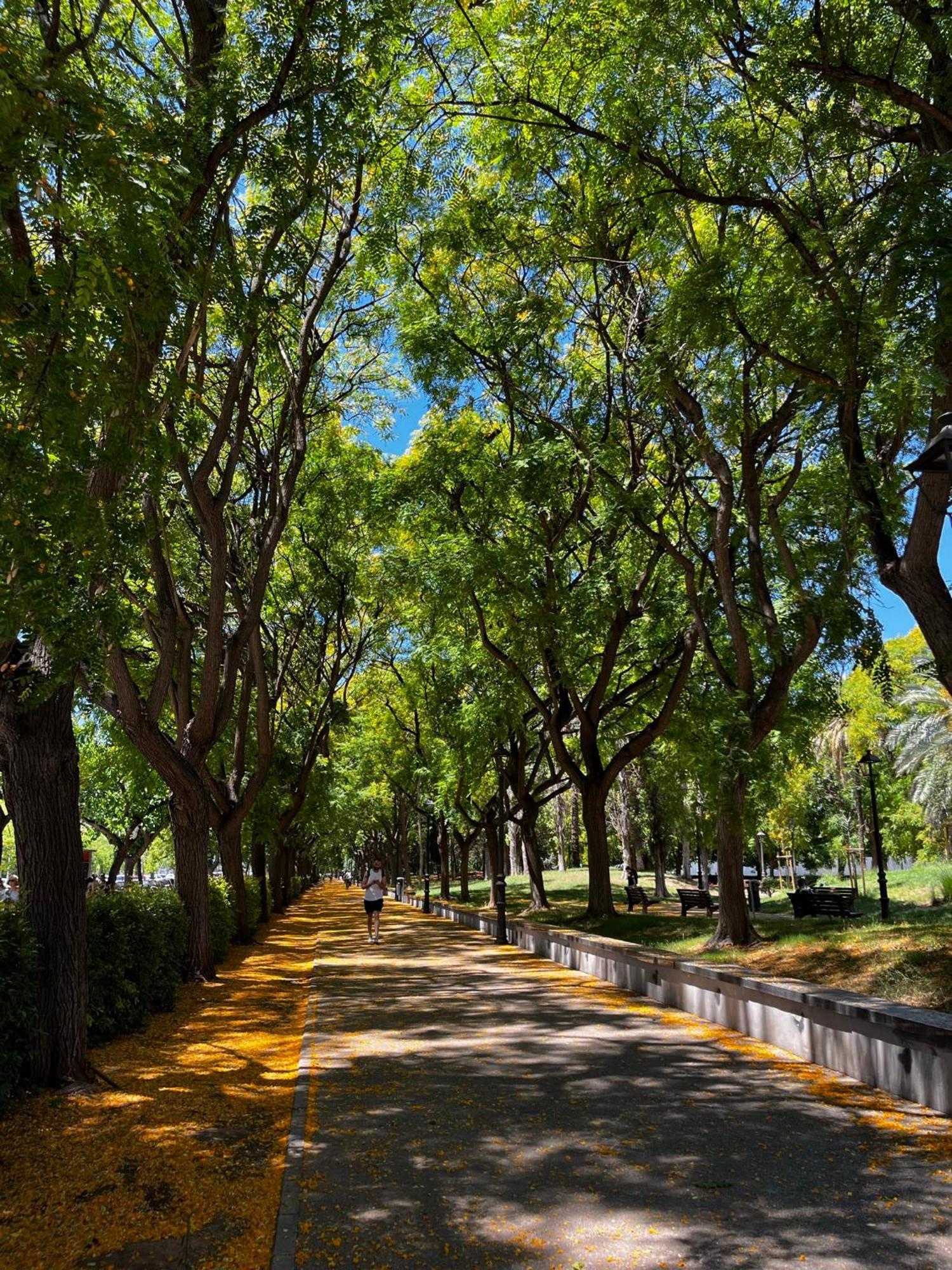 Alojame Valencia Valência Exterior foto