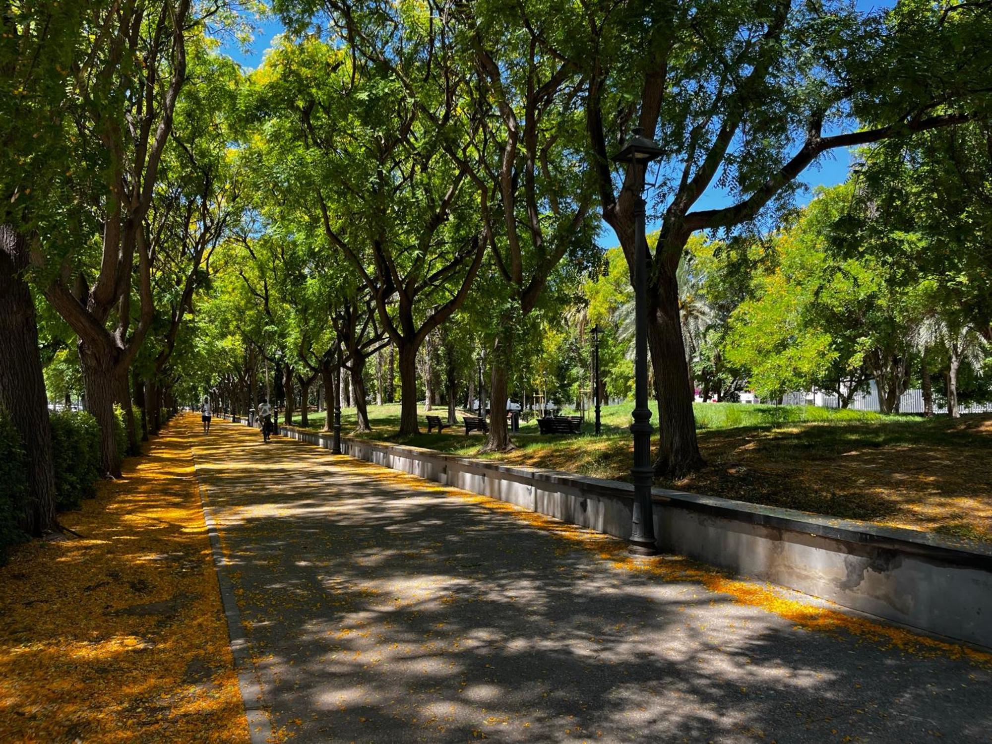 Alojame Valencia Valência Exterior foto